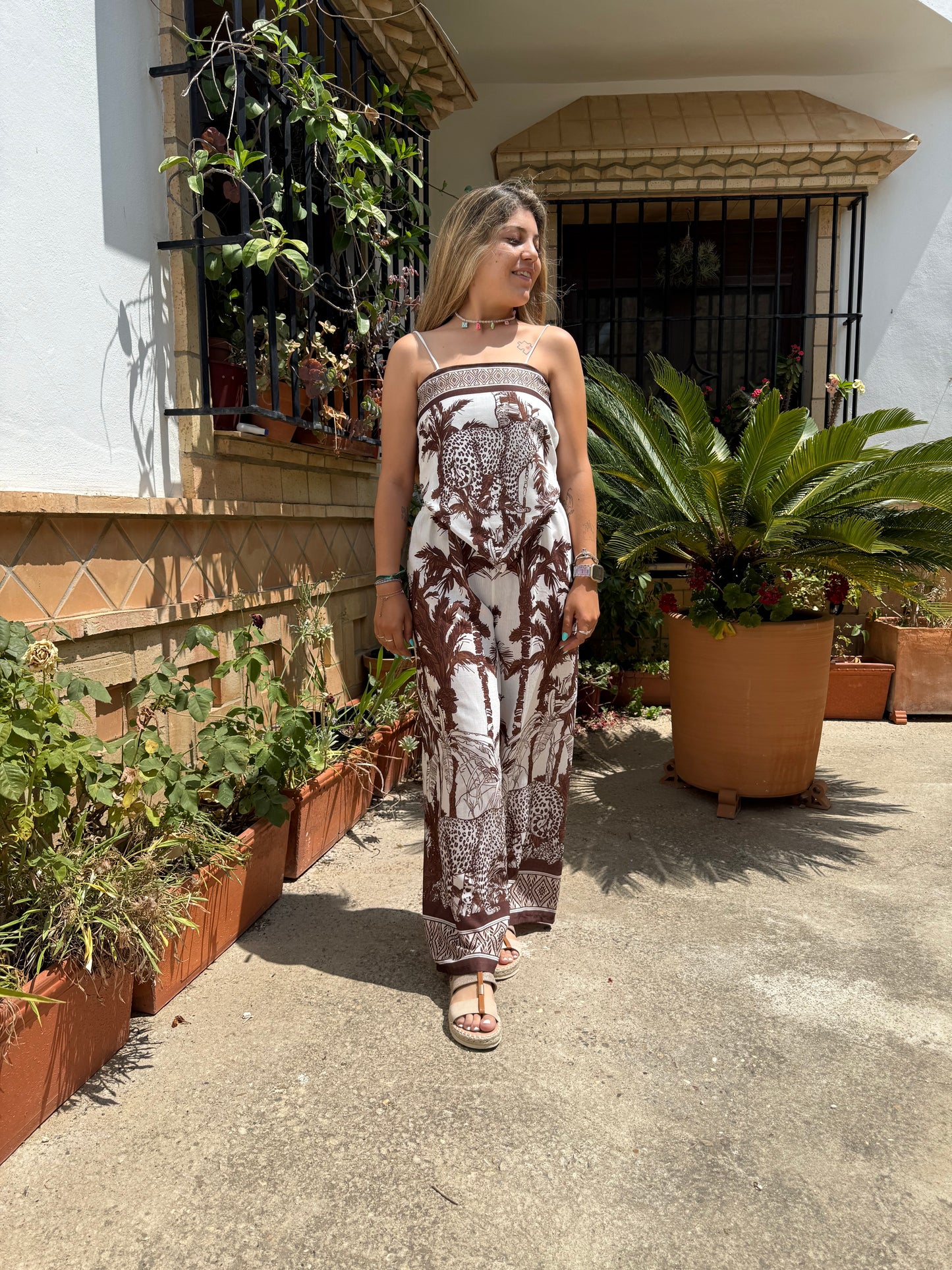 Conjunto tigre