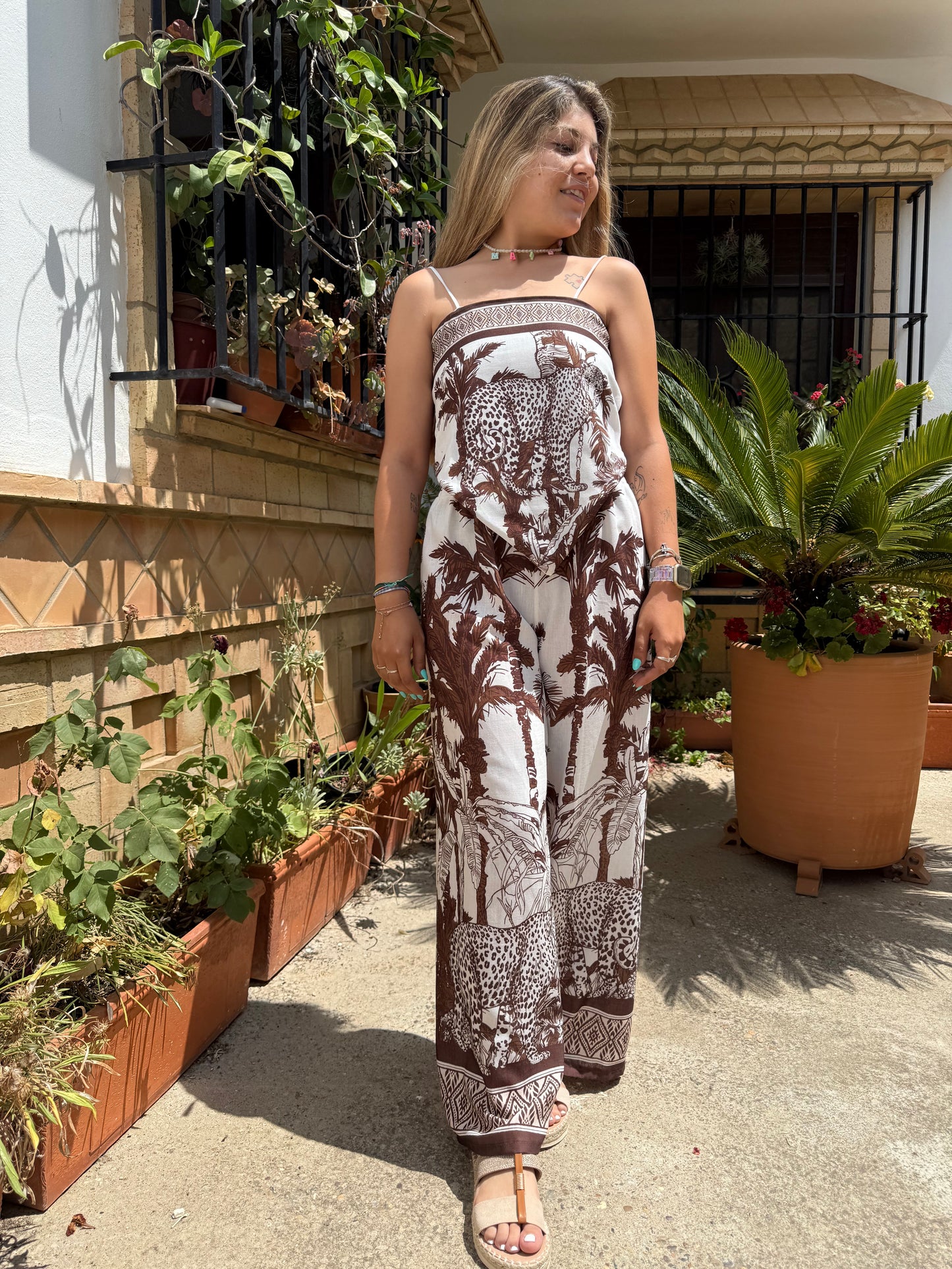 Conjunto tigre